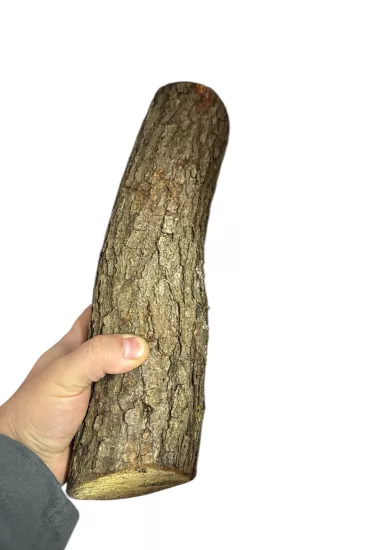 1. Sınıf Doğal Meşe Odunu